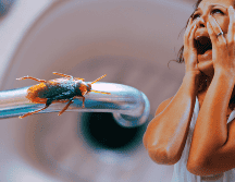 Los restos de comida son la primera invitación para que los insectos entren a la cocina. ESPECIAL / CANVA