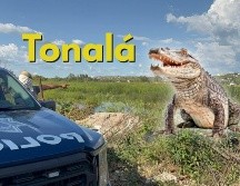 La zona se encuentra resguardada a la espera de la captura y traslado del cocodrilo. ESPECIAL / FACEBOOK Coordinación de Seguridad y Emergencias Tonalá