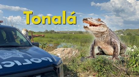 La zona se encuentra resguardada a la espera de la captura y traslado del cocodrilo. ESPECIAL / FACEBOOK Coordinación de Seguridad y Emergencias Tonalá