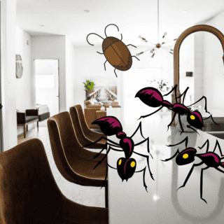 Así puedes evitar que salgan hormigas, moscas y otros insectos en la cocina