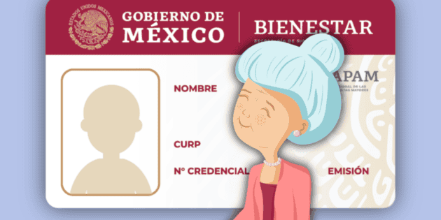 Inapam: &iquest;C&oacute;mo tramitar la credencial de descuentos para adultos mayores en 2026? Requisitos, edad m&iacute;nima y m&aacute;s