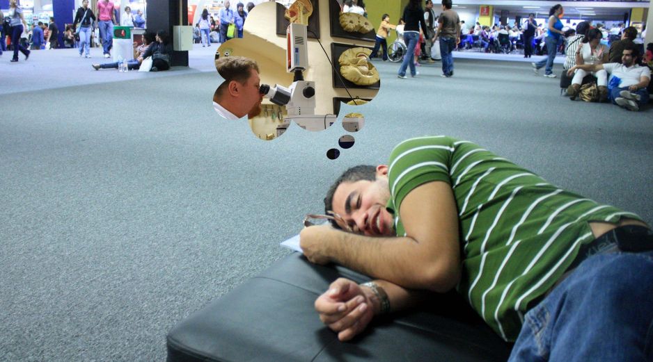 La clave no está en la estructura anatómica, como se consideraba hasta el momento, sino en el grado de excitabilidad de las neuronas. EL INFORMADOR / EFE / ARCHIVO