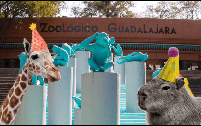 Si planeas aprovechar esta increíble promoción, te recordamos que el Zoológico Guadalajara se encuentra muy cerca de la Barranca de Huentitán. EL INFORMADOR/ ARCHIVO