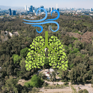 Calidad del Aire AMG: ¿Cómo amanece la ciudad HOY miércoles 24 de septiembre?