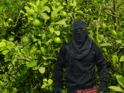 Consultadas al respecto, autoridades estatales, adelantaron que junto con la Federación, ya tienen una serie de acciones preparadas. NTX / SUN / ARCHIVO