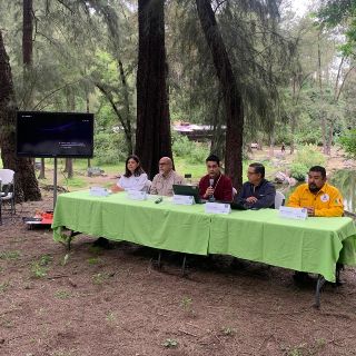 Superan meta de reforestación para 2025 en Jalisco