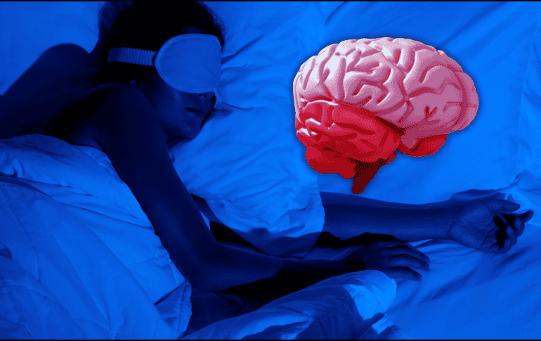 Un sueño reparador es un hábito cotidiano que contribuye a cuidar la salud cerebral. ESPECIAL / CANVA