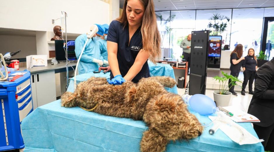 Esta mañana fue presentada la licenciatura en Medicina Veterinaria y Zootecnia en la Universidad Autónoma de Guadalajara (UAG). EL INFORMADOR / J. ACOSTA