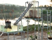 La muestra pertenece a Parajes, un programa del MURA diseñado para fomentar la interacción entre expresiones artísticas locales y nacionales. CORTESÍA