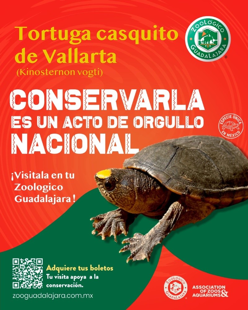CORTESÍA/ FACEBOOK/ Zoológico Guadalajara  