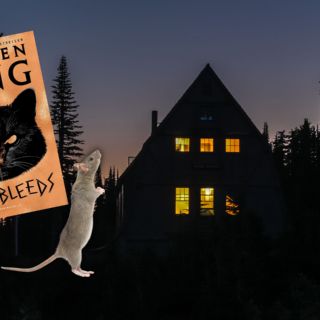 Stephen King: Trabajan en la adaptación de su novela "Rat", para la pantalla grande