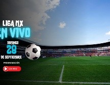 Para el domingo están programados dos juegos. IMAGO7
