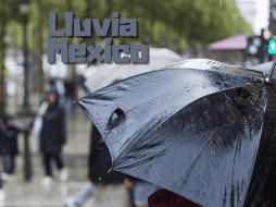 Los intervalos de chubascos y las lluvias puntuales fuertes a intensas, se acompañarán con descargas eléctricas y podrían acompañarse con caída de granizo. ESPECIAL / CANVA