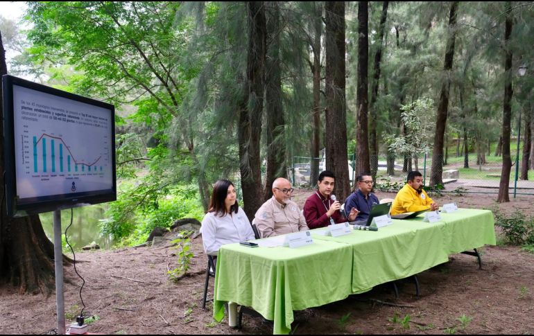 Las jornadas abarcaron una superficie de 305.1 hectáreas en 43 municipios, con prioridad en zonas afectadas por incendios, plagas forestales y procesos de degradación del suelo. ESPECIAL / GESTIÓN DEL TERRITORIO JALISCO