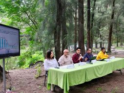 Las jornadas abarcaron una superficie de 305.1 hectáreas en 43 municipios, con prioridad en zonas afectadas por incendios, plagas forestales y procesos de degradación del suelo. ESPECIAL / GESTIÓN DEL TERRITORIO JALISCO