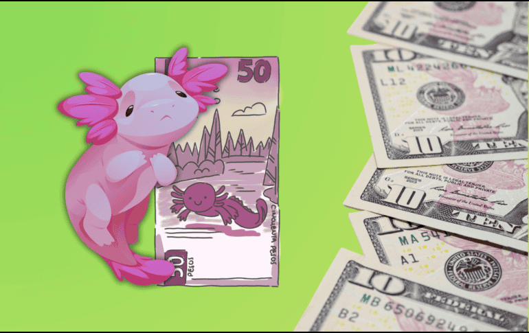 El dólar, en los mercados internacionales, concluyó alrededor de 18.36 pesos por dólar. ESPECIAL / CANVA