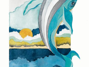 Cuerpos debilitado, falta de reservas nutricionales y menor descendencia generan inquietud por las ballenas entre especialistas. CORTESÍA/Irma Arce