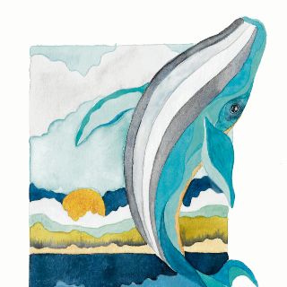 Año de “ballenas flacas”