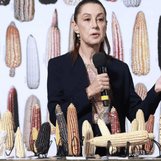 Sheinbaum no descarta crear tortillerías de maíz nativo