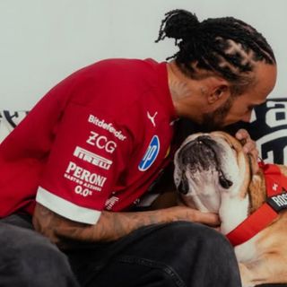 Fallece Roscoe, el querido bulldog de Lewis Hamilton