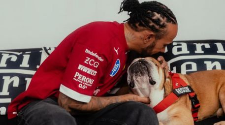 Roscoe, considerado el perro más famoso y carismático del paddock de la Fórmula 1, había sido diagnosticado con neumonía y se encontraba delicado desde hacía tres días. INSTAGRAM / lewishamilton