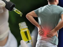 Los resultados del ensayo clínico con el extracto VER-01 sugieren que el cannabis medicinal podría ofrecer algo más que esperanza: una alternativa eficaz y con menor riesgo de dependencia. CANVA