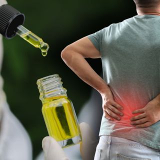 Estudio señala que el extracto de cannabis alivia dolores lumbares crónicos