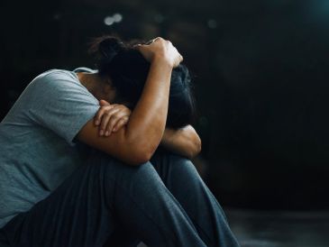 La Presidenta Claudia Sheinbaum aseguró que el objetivo es que las juventudes "sientan que su gobierno está cerca" y que existan mecanismos efectivos para prevenir tanto la violencia como la criminalidad. ESPECIAL / CANVA