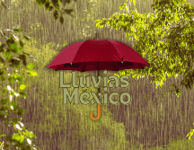 Este miércoles se esperan lluvias fuertes a muy fuertes en el oriente, sur y sureste de México. ESPECIAL / CANVA
