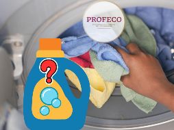 La Profeco revisó los detergentes para determinar cuáles son los mejores para eliminar salsas, estofado y espinacas, entre otras. ESPECIAL / CANVA