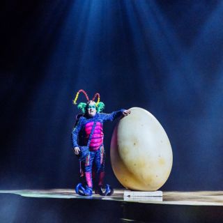 Mateo Amieva: Un clown en el mundo maravilloso de los insectos