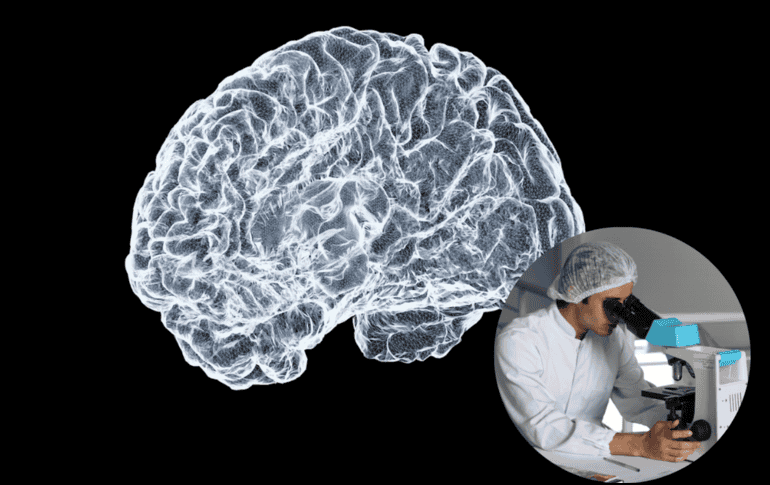 Científicos explican qué causa la enfermedad de párkinson. UNSPLASH / S. DAY / L. VASQUES