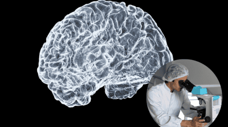 Científicos explican qué causa la enfermedad de párkinson. UNSPLASH / S. DAY / L. VASQUES