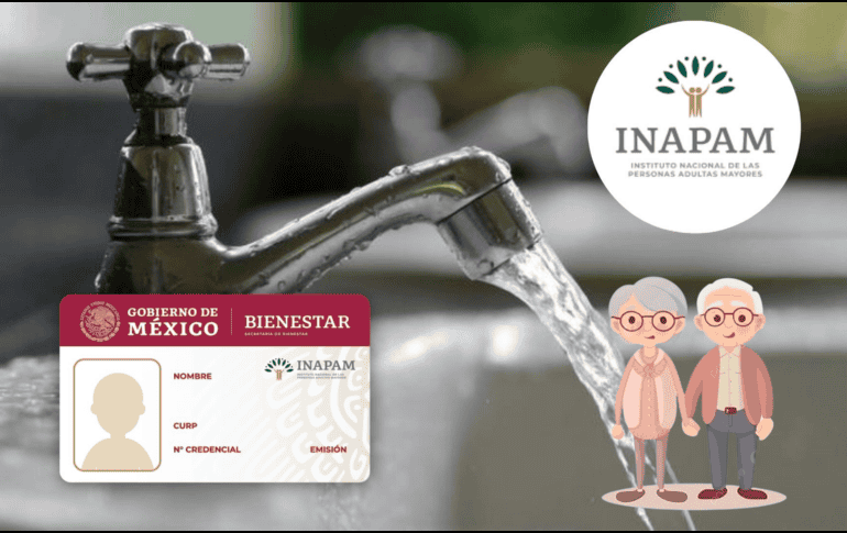 El Inapam tiene como objetivo brindar a los adultos mayores un acceso más sencillo a los servicios esenciales. ESPECIAL