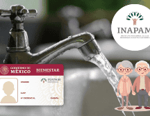 El Inapam tiene como objetivo brindar a los adultos mayores un acceso más sencillo a los servicios esenciales. ESPECIAL