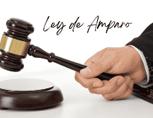 La Presidenta Claudia Sheinbaum Pardo impulsa reformas en materia de amparo. ESPECIAL / CANVA