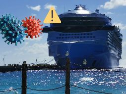 El norovirus es altamente contagioso y se transmite principalmente por contacto directo con personas infectadas. SUN / ARCHIVO