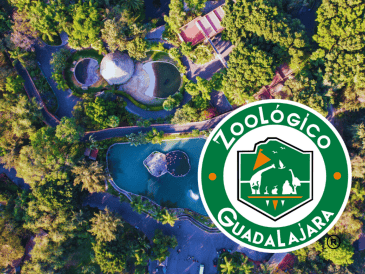 Este mes de octubre, el Zoológico de Guadalajara tendrá entradas para niños en tan solo un peso. EL INFORMADOR/ARCHIVO