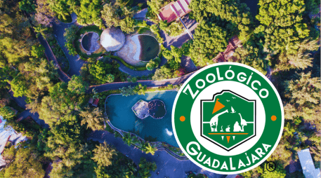Este mes de octubre, el Zoológico de Guadalajara tendrá entradas para niños en tan solo un peso. EL INFORMADOR/ARCHIVO