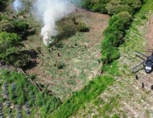 Con esta acción, la Policía de Jalisco evitó que llegaran a las calles aproximadamente 21 millones de dosis. ESPECIAL