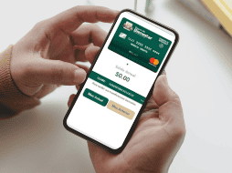 Todas estas opciones son gratuitas y seguras; se debe evitar proporcionar datos en servicios no verificados.