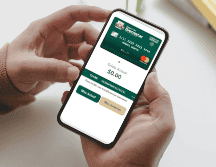 Todas estas opciones son gratuitas y seguras; se debe evitar proporcionar datos en servicios no verificados.