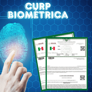 CURP biométrica: ¿Se puede tramitar en línea?