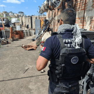 Aseguran aves en peligro de extinción tras cateo en finca de Tonalá