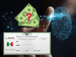 La CURP biométrica incluirá datos biométricos, como huellas dactilares, escaneó del iris -de ambos ojos-, fotografía, firma electrónica, entre otras. ESPECIAL / CANVA