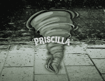 Se prevé que “Priscilla” continúe su desplazamiento paralelo a las costas durante las próximas 24 horas. ESPECIAL / CANVA