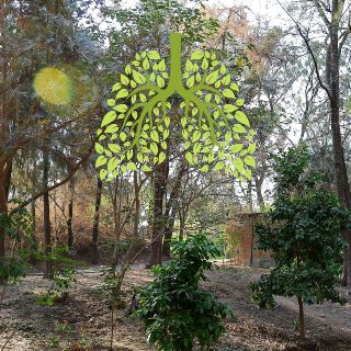 Calidad del Aire AMG: Así amanece la ciudad HOY miércoles 08 de octubre de 2025