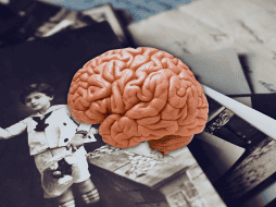 El estudio plantea que no solo las neuronas almacenan lo que las personas experimentan. ESPECIAL / CANVA