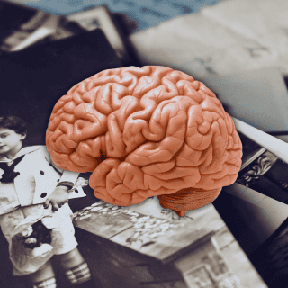 ¿Cómo se forman los recuerdos en la mente?