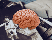 El estudio plantea que no solo las neuronas almacenan lo que las personas experimentan. ESPECIAL / CANVA